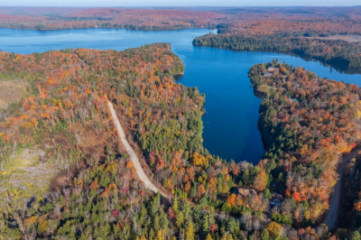 Bella Lake Waterfront Building Lot for sale:    (Listed 2025-02-04)